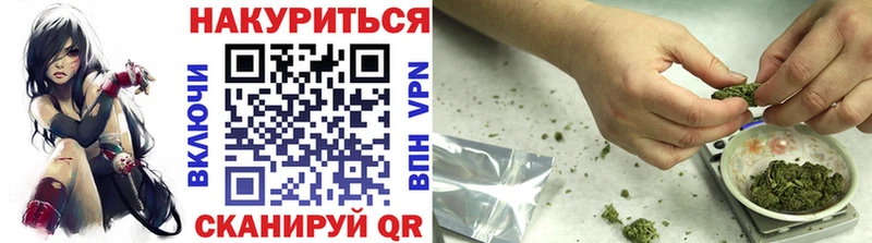 Бошки Шишки план  Купить где  Курганинск 